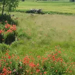 Haus Rosengarten- Ruhige Im Gruenen *
