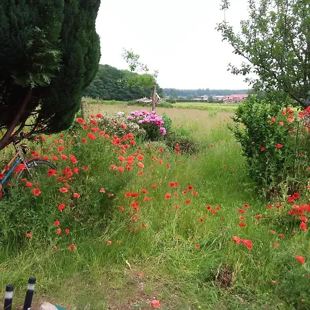 Haus Rosengarten- Ruhige Im Gruenen Apartament *