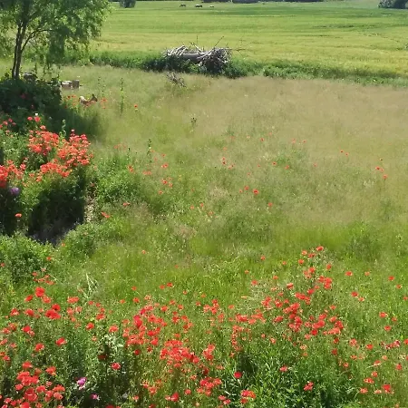 Haus Rosengarten- Ruhige Im Gruenen *