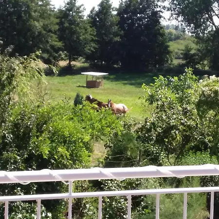 Haus Rosengarten- Ruhige Im Gruenen Apartment Sehlen