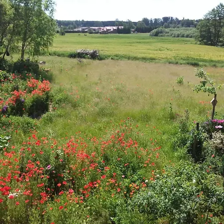 Haus Rosengarten- Ruhige Im Gruenen