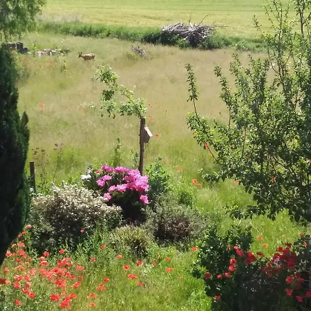 Haus Rosengarten- Ruhige Im Gruenen Sehlen