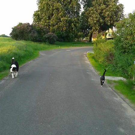 Haus Rosengarten- Ruhige Im Gruenen *