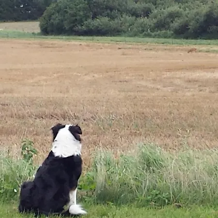 Apartament Haus Rosengarten- Ruhige Im Gruenen