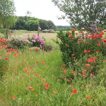 Haus Rosengarten- Ruhige Im Gruenen アパート