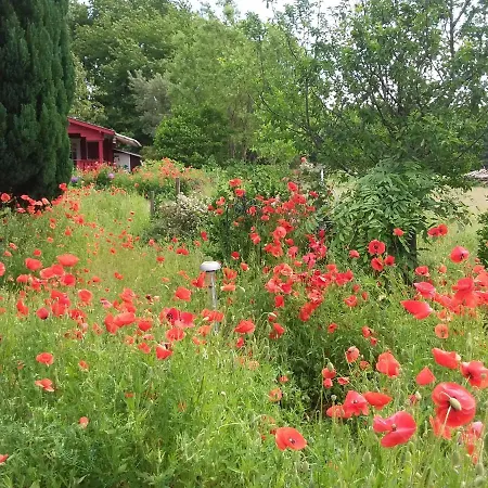 Haus Rosengarten- Ruhige Im Gruenen Apartament Sehlen