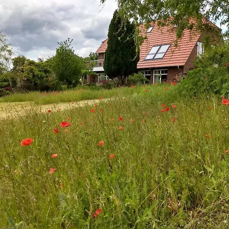アパート Haus Rosengarten- Ruhige Im Gruenen Sehlen