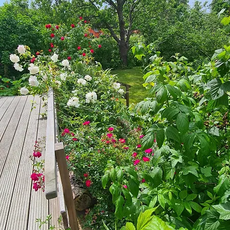 Haus Rosengarten- Ruhige Im Gruenen * Sehlen