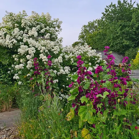 Apartament Haus Rosengarten- Ruhige Im Gruenen