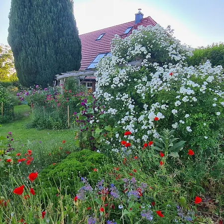 Haus Rosengarten- Ruhige Im Gruenen Apartament Sehlen