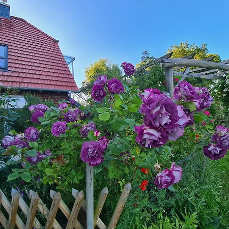 Haus Rosengarten- Ruhige Im Gruenen Apartament *