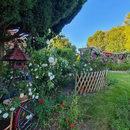 Haus Rosengarten- Ruhige Im Gruenen Apartament Sehlen