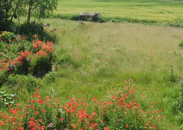 Haus Rosengarten- Ruhige Im Gruenen *