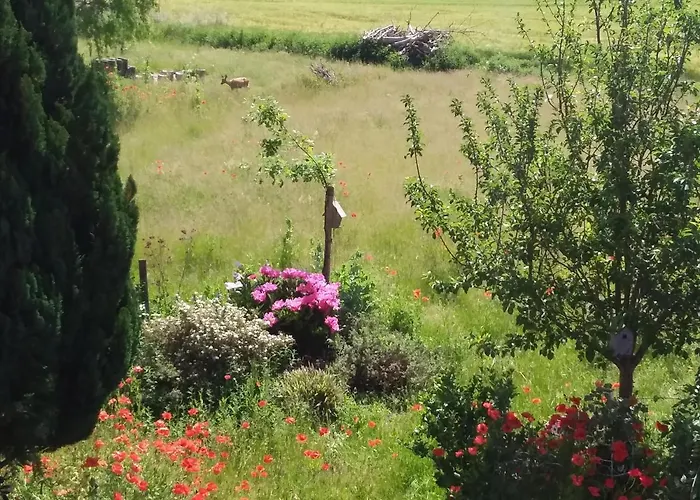Haus Rosengarten- Ruhige Im Gruenen Sehlen