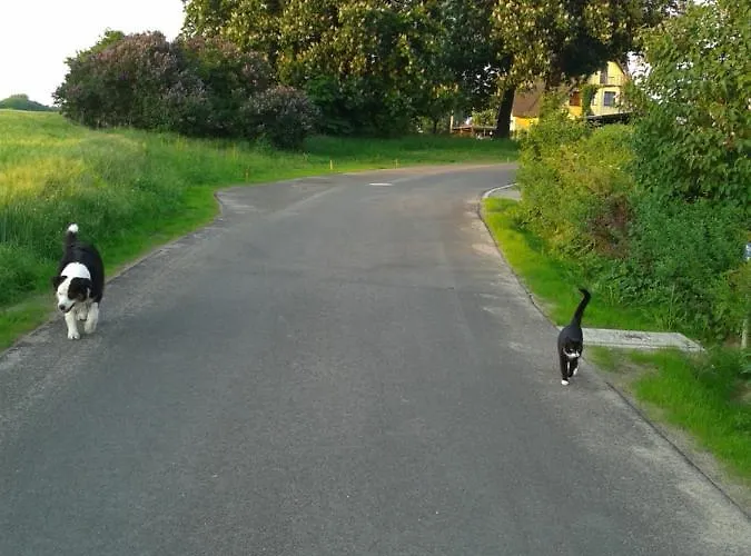 Haus Rosengarten- Ruhige Im Gruenen *