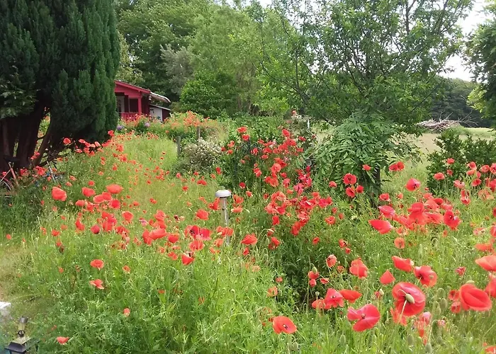 Haus Rosengarten- Ruhige Im Gruenen Lejlighed Sehlen