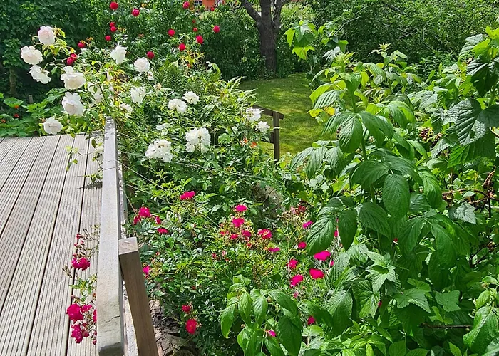 Haus Rosengarten- Ruhige Im Gruenen * Sehlen