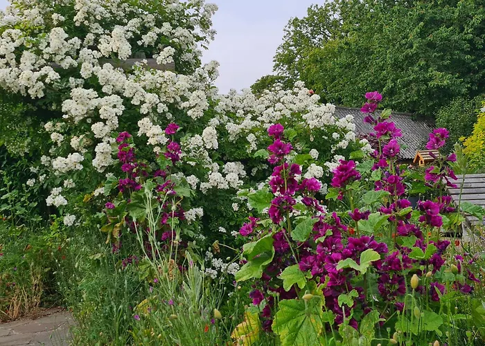 Lejlighed Haus Rosengarten- Ruhige Im Gruenen