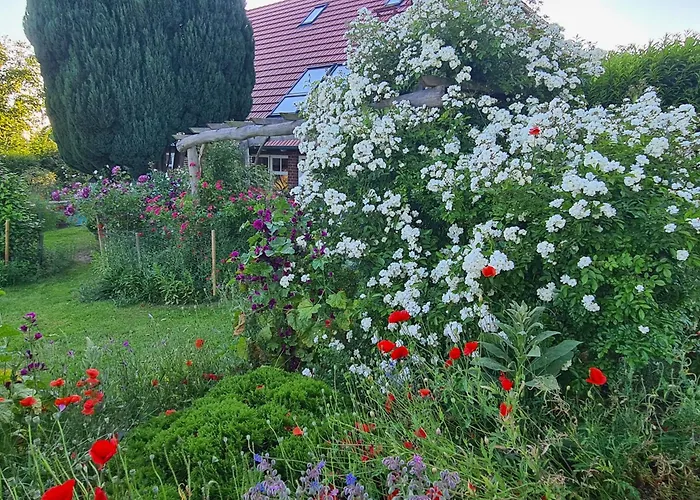 Haus Rosengarten- Ruhige Im Gruenen Lejlighed Sehlen