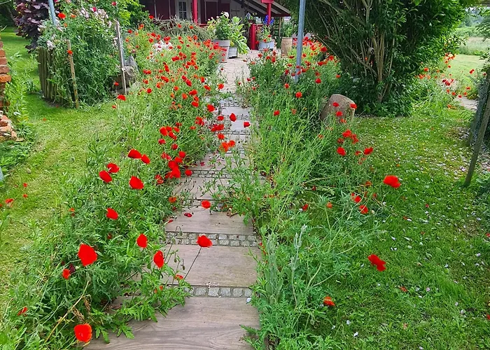 Lejlighed Haus Rosengarten- Ruhige Im Gruenen
