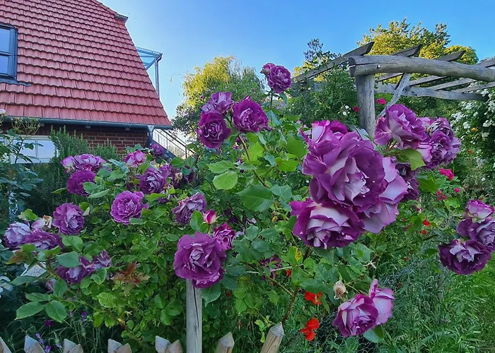Haus Rosengarten- Ruhige Im Gruenen Lejlighed *